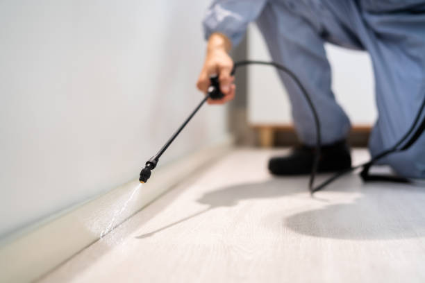 Licensed Termite Control service in Black Hammock, FL - Nex Pest Control