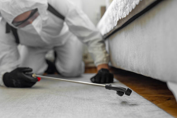Professional Termite Control technician working in Black Hammock, FL