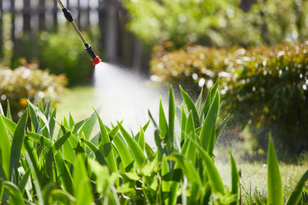 24/7 Emergency Termite Control experts in Black Hammock, FL