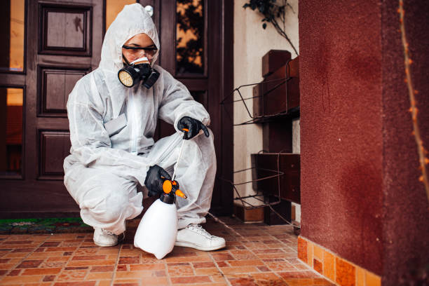 Reliable Termite Control contractor in Black Hammock, FL by Nex Pest Control